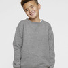 Youth Crewneck Sweatshirt